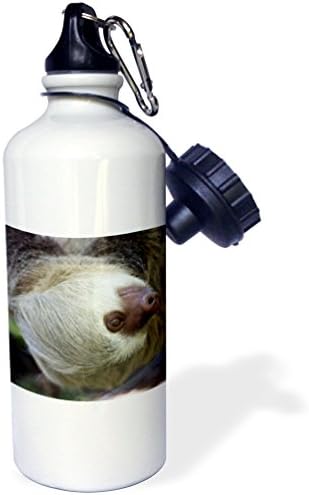 3Droza Kostarika, Hoffman's dvotoban za divlje životinje Kymri Wilt sportski boca za vodu, 21 oz, bijela