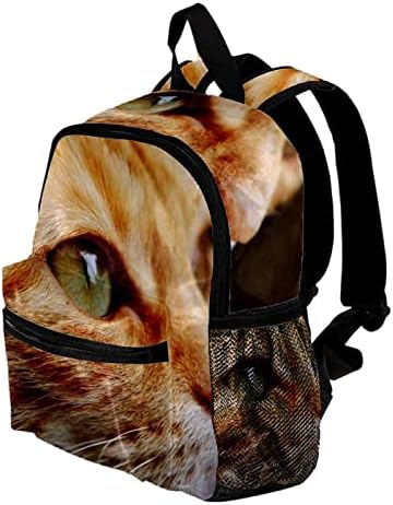 VBFOFBV putni ruksak, ruksak za laptop za žene muškarci, modni ruksak, životinjska narandžasta mačka