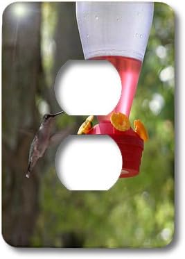 3Droza LSP_27304_6 Hummingbird na poklopcu izlagača, višebojni