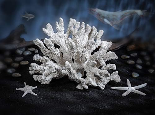 Abbott kolekcija 3D morska zvijezda, bijela