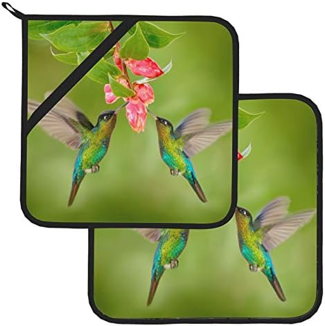 Hummingbirds sisaju nektar toplotne ploče otporne na toplinu s džepom 2 kom Square za kuhanje i pečenje