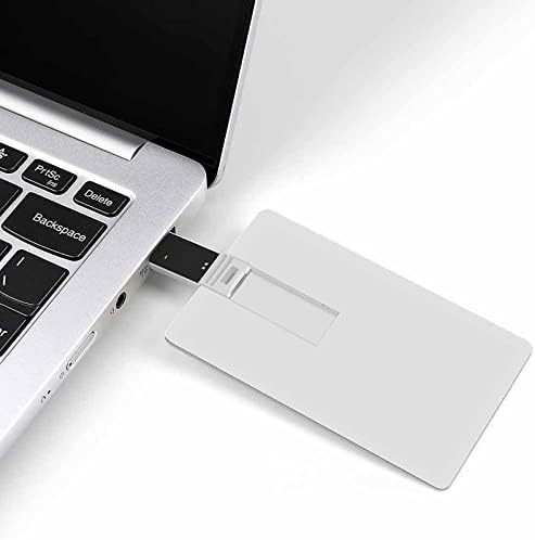 Veliki lica Panda USB Flash pogon Personalizirana kreditna kartica Pogonski memorijski stick USB ključni