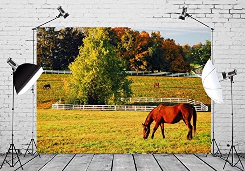 Loccor 15x10ft Horse Farm Backdrop Konji u Stud-Farm jesen polje pozadina Zapadni selu ograda fotografija
