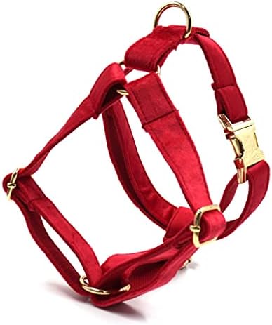 Generički crveni baršunasti pas personalizirani 5pcs / set harness bowtie ovratnik povodac poop torba Funkcionalna