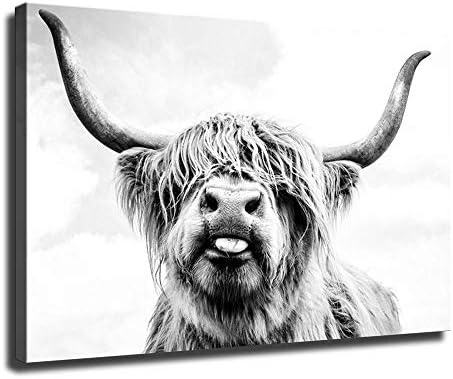 Dah Wall Art Highland Cowwland Slika Art Print platnene Kućna soba Dekor životinjski goveda Bull Poster
