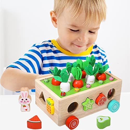 Rexinc Montessori igračke za malu djecu od 1,2,3,4 godine dječaci i djevojčice ,pokloni za djevojčice od 2 godine drvene Edukativne igračke za sortiranje,poklon za predškolsko učenje mrkva žetva igra Fine motoričke vještine