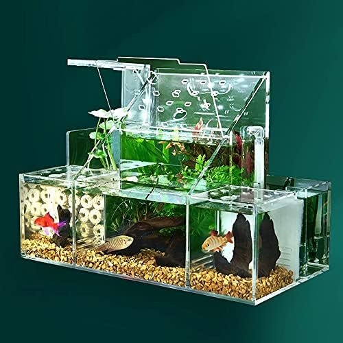 YFQHDD akvarijumski rezervoar za ribu akril malog ribe izolacije kutija prozirna reprodukcijska kutija Creative
