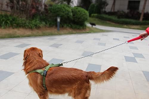 Metalni pseći povodnik Teška kućna ljubimca lančani lanac za pse sa podstavljenom ručkom za male srednje