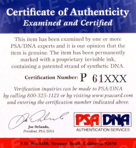 Amir Sadollah potpisao UFC rukavice PSA / DNK COA autogram Ultimate Fighter 7 101 UFC rukavice sa 106 autogramom